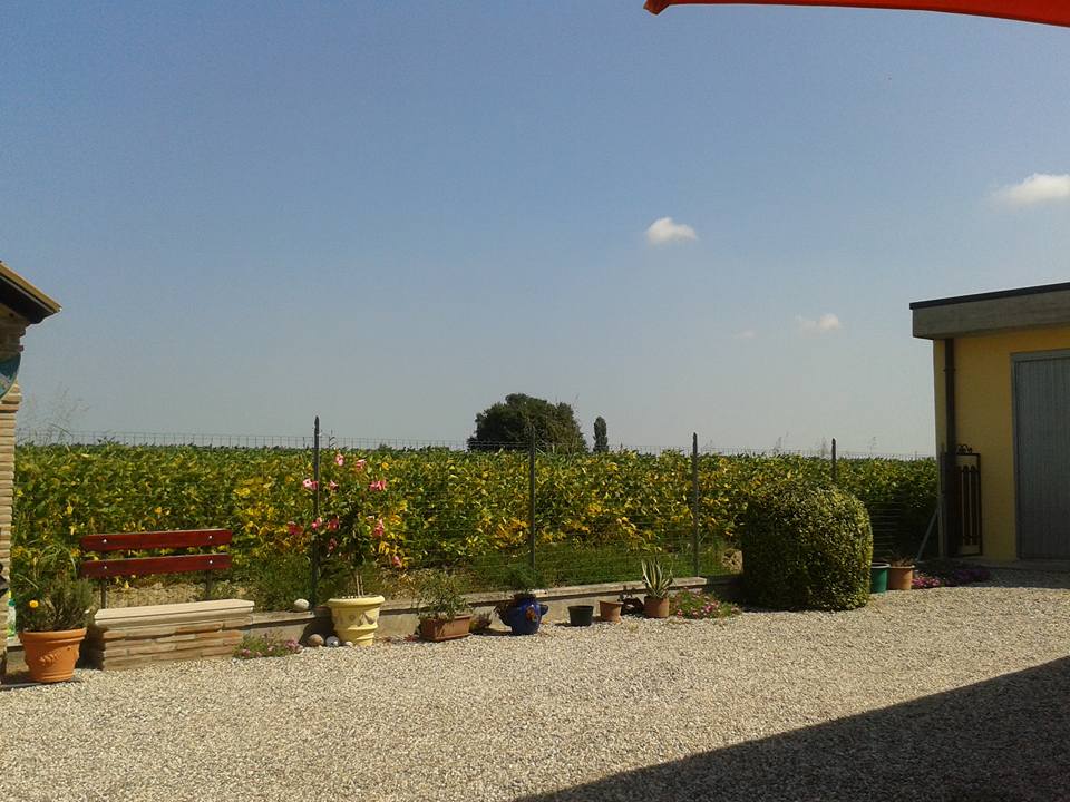 11898520_10207514107634251_5799771582456529358_n