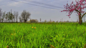 FIABE CONTRO IL CANCRO crowdfunding