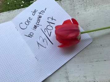 Cose che ho imparato: 13/2017