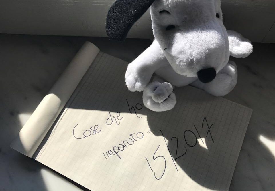 Cose che ho imparato: 15/2017