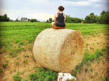 Cose che ho imparato: 26/2017