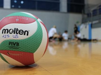 Cose che ho imparato: 36/2017