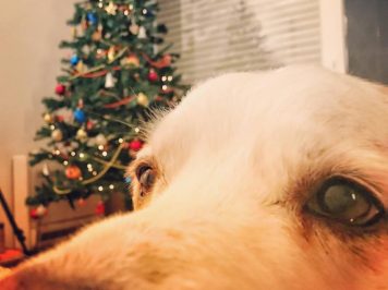 Cose che ho imparato: 48/2017