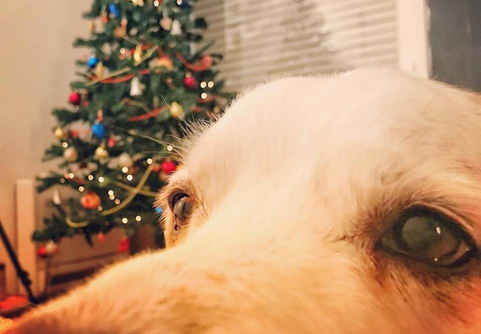 Cose che ho imparato: 48/2017