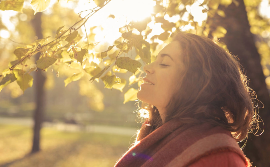 Cose che ho imparato: 47/2017