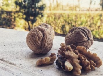 Tutto l’amore che ho