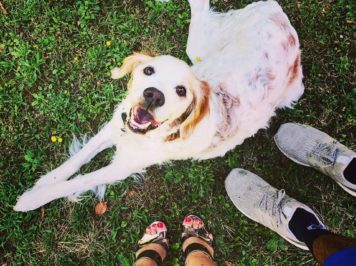 Sta passando novembre