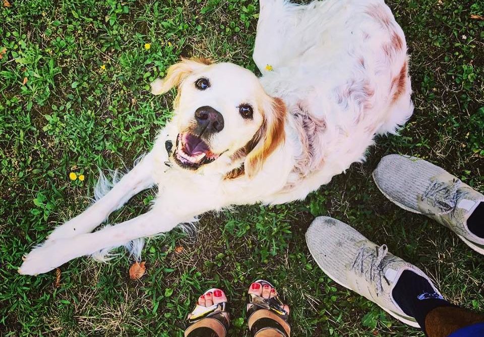 Sta passando novembre