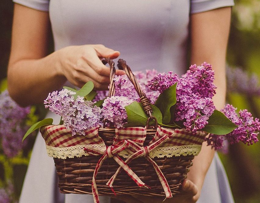 Buon proposito #15: seminare