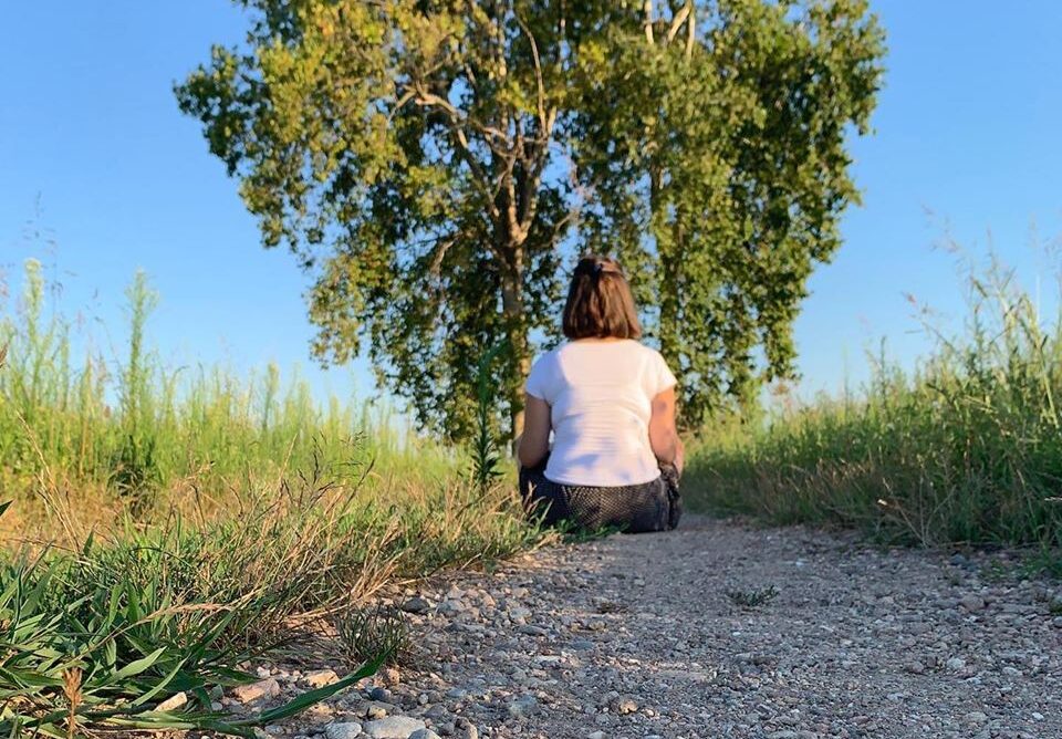 I nostri alberi gemelli